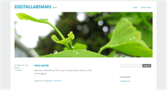 Desktop Screenshot of digitallabsmmu.com