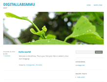 Tablet Screenshot of digitallabsmmu.com